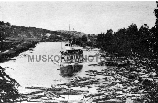 #4 Islander navigates log-jammed Muskoka River